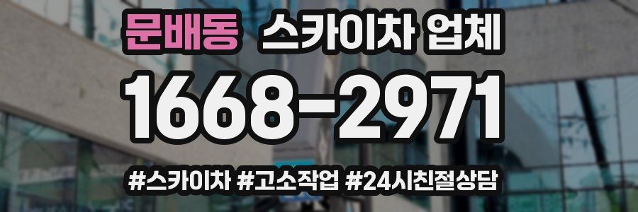 문배동 스카이차 업체
