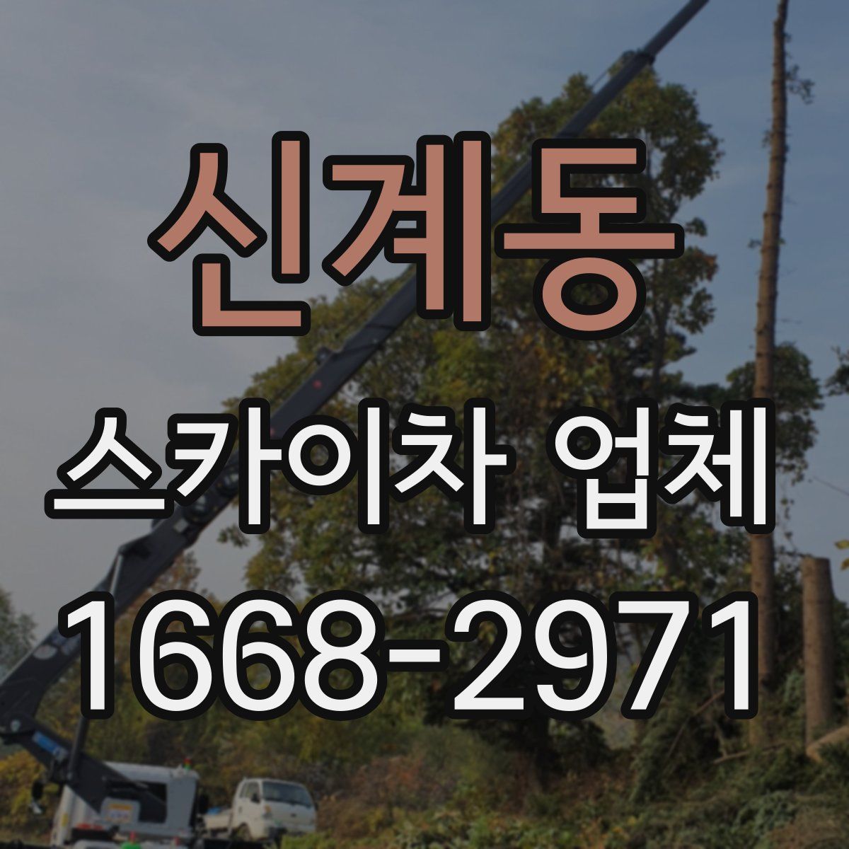 신계동 스카이차 업체