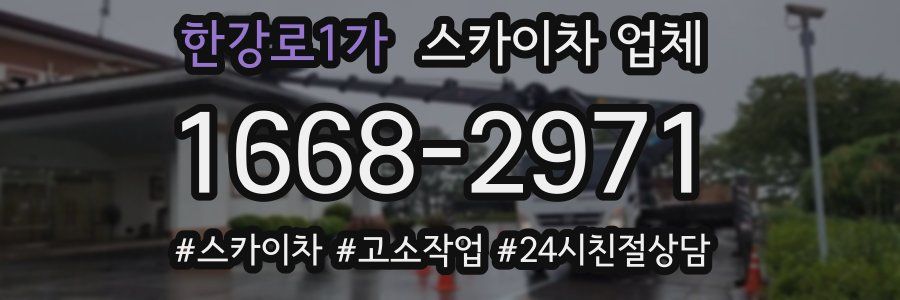 한강로1가 스카이차 업체