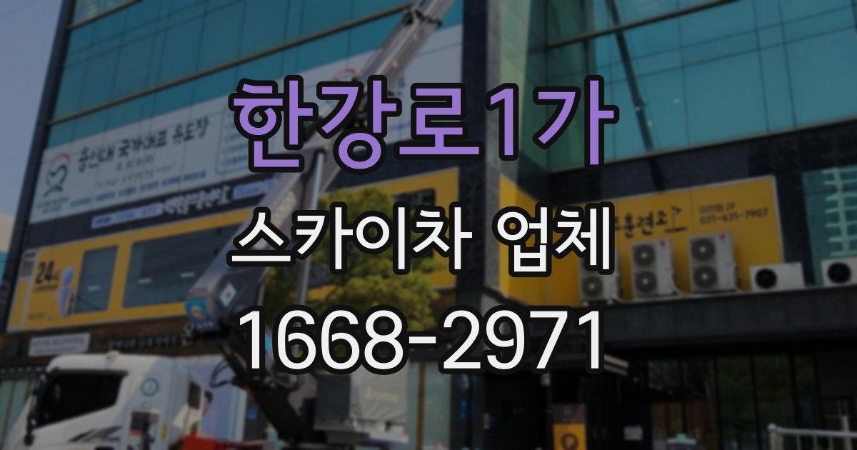 한강로1가 스카이차 업체