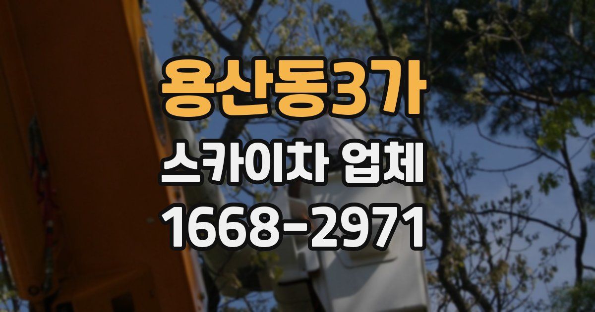용산동3가 스카이차 업체