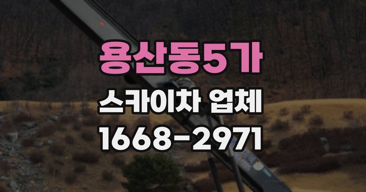용산동5가 스카이차 업체