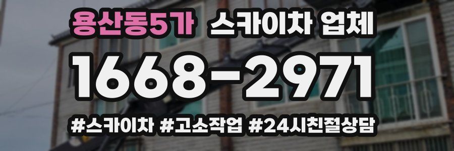 용산동5가 스카이차 업체