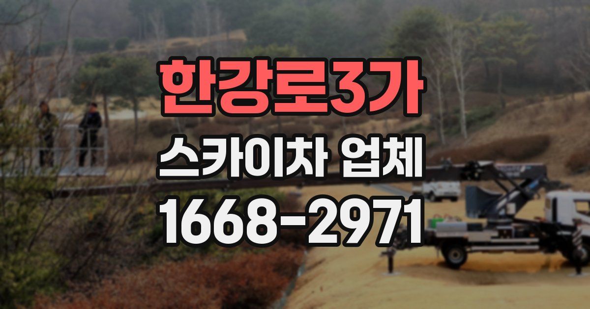 한강로3가 스카이차 업체
