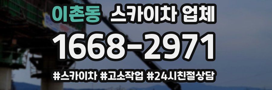 이촌동 스카이차 업체