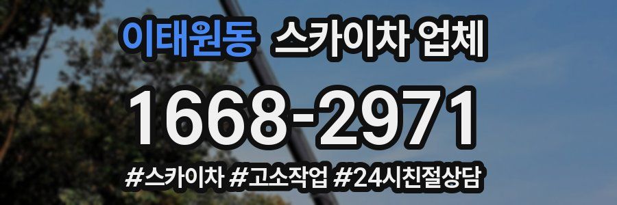 이태원동 스카이차 업체