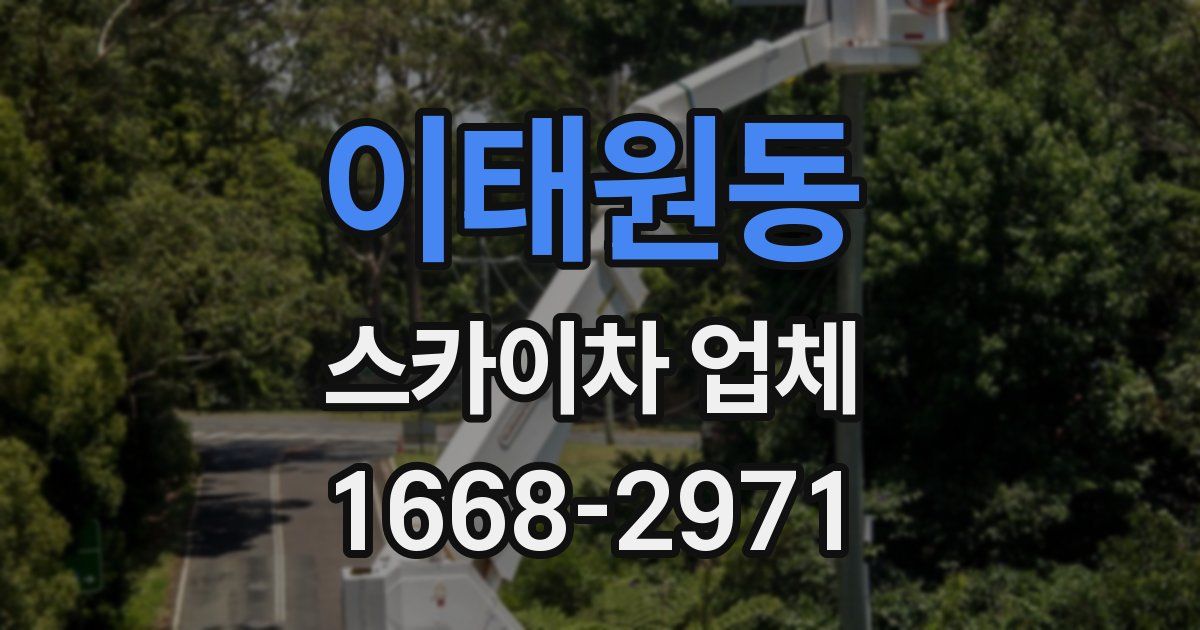 이태원동 스카이차 업체
