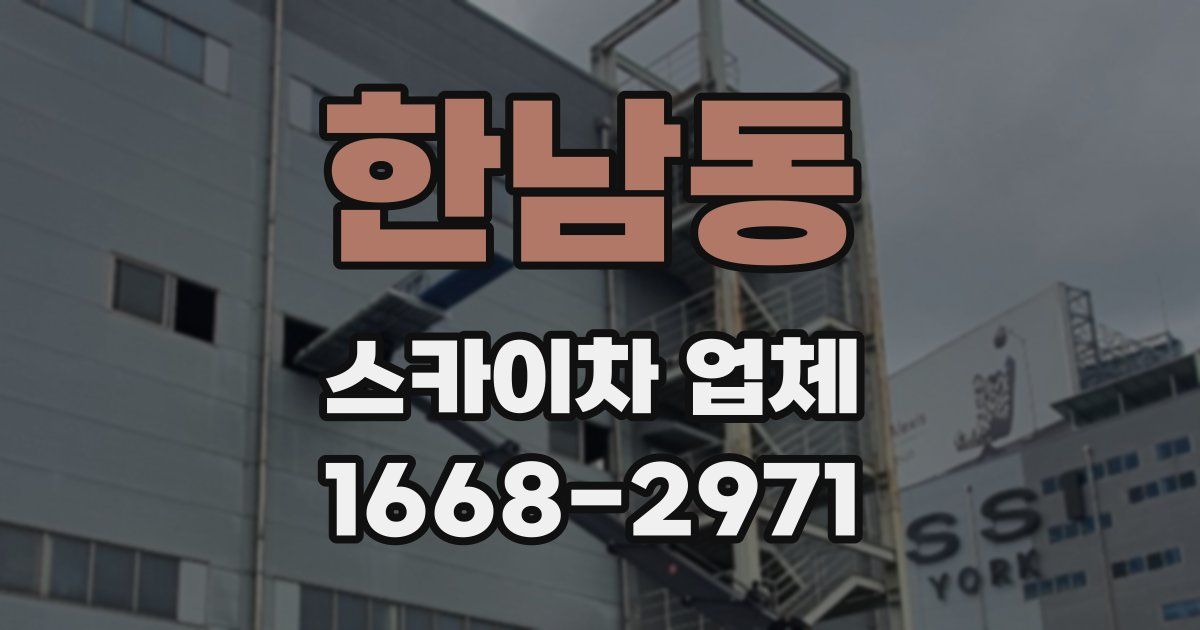 한남동 스카이차 업체
