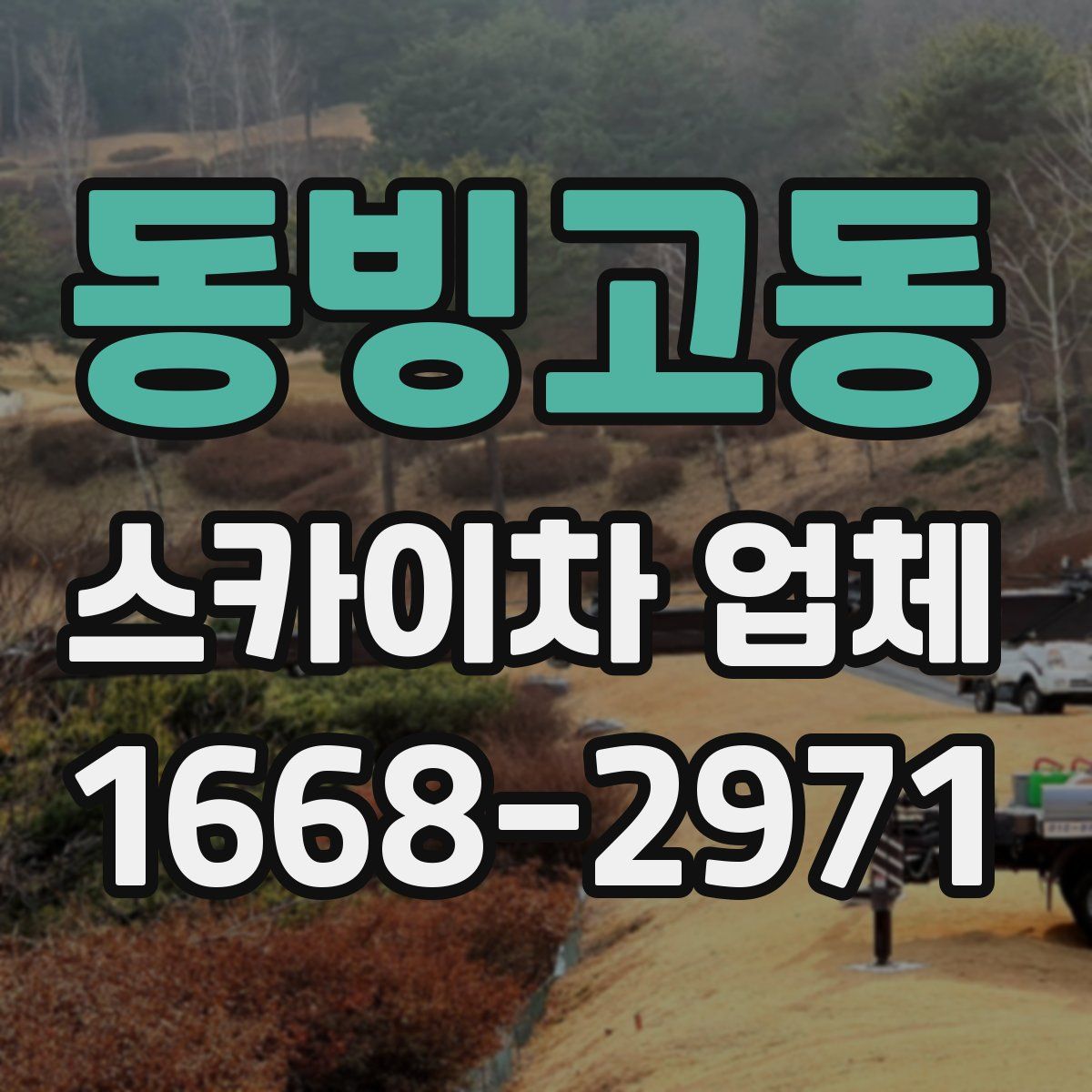 동빙고동 스카이차 업체