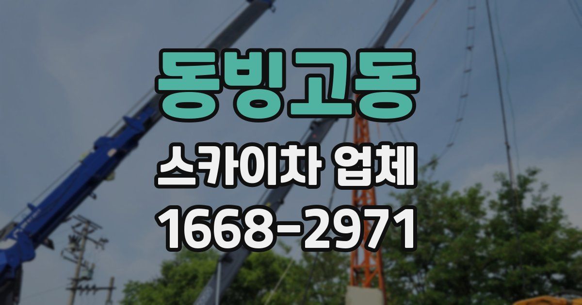 동빙고동 스카이차 업체