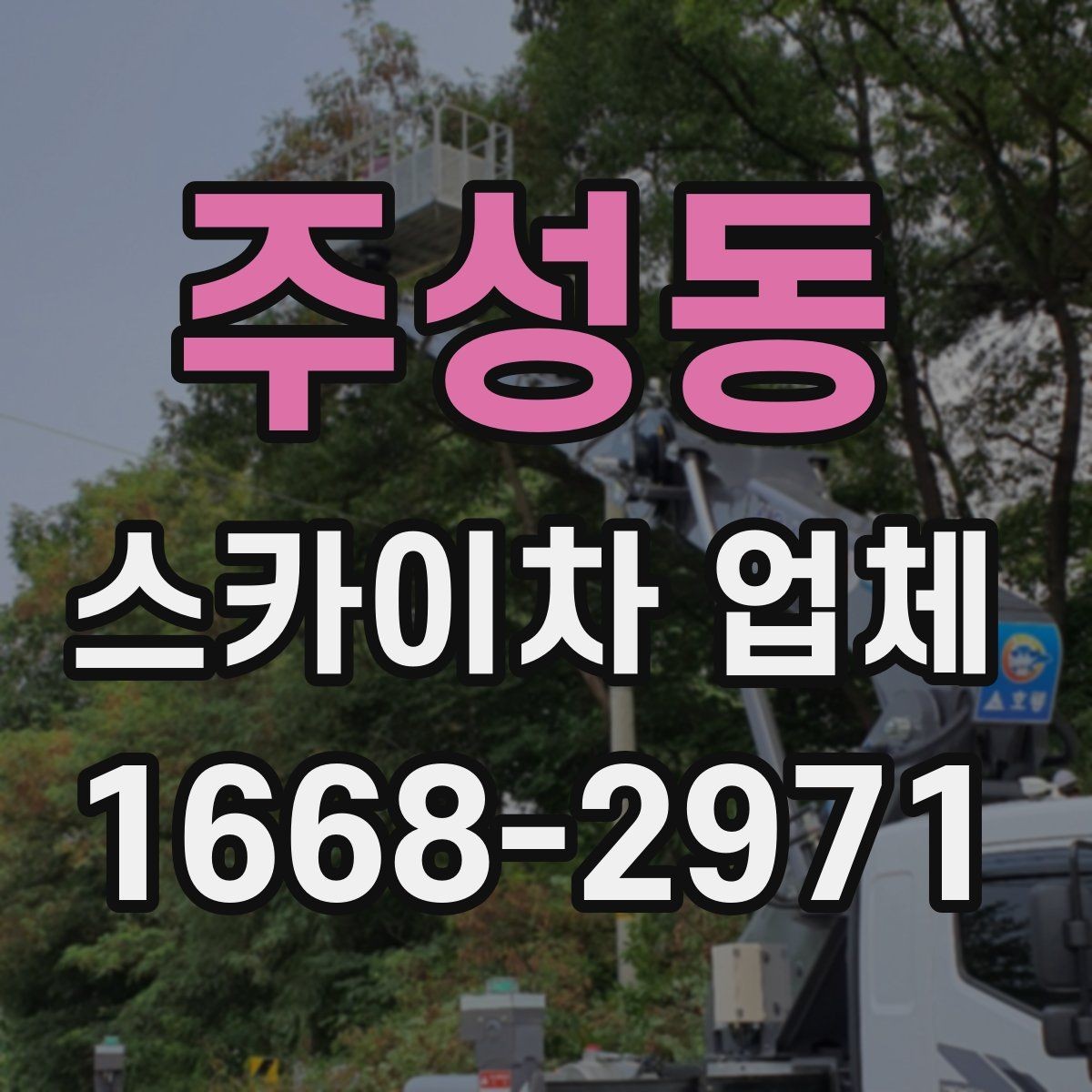 주성동 스카이차 업체 비교에서 차량 진입 가능 여부 확인하기
