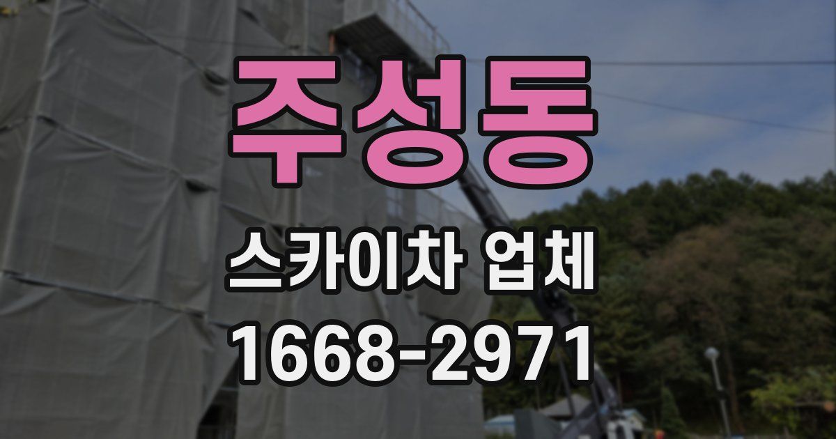 주성동 스카이차 업체