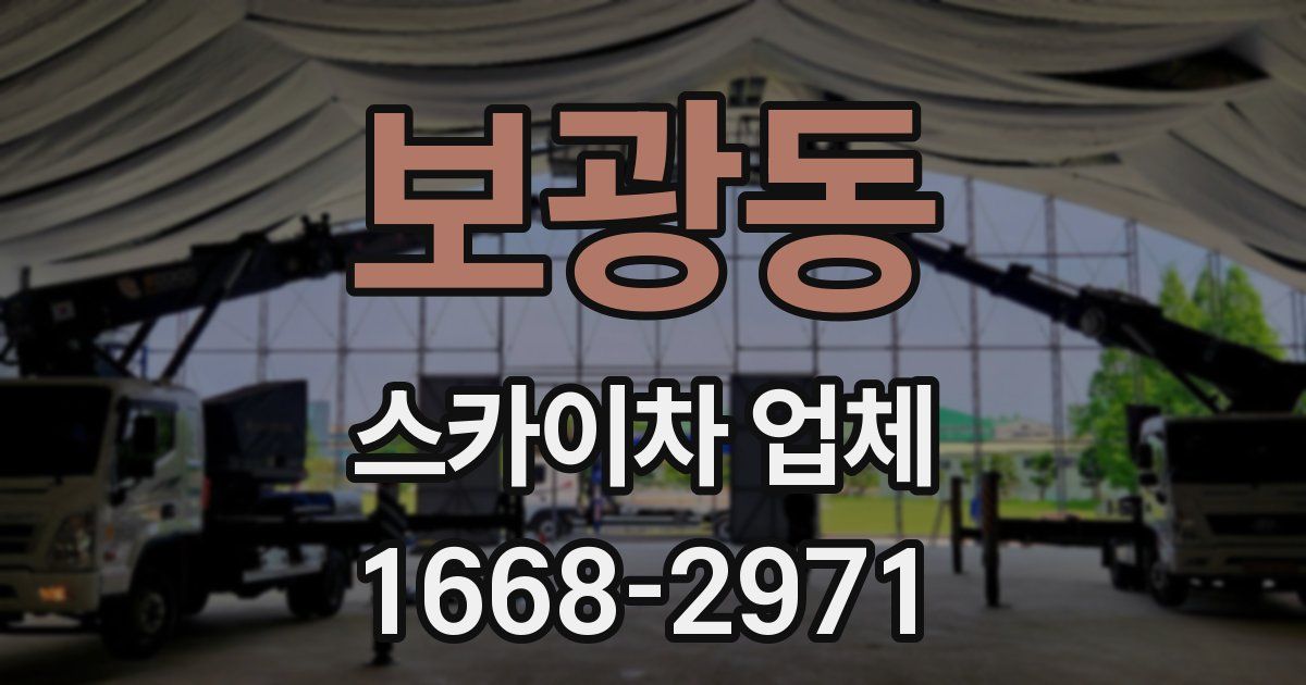 보광동 스카이차 업체