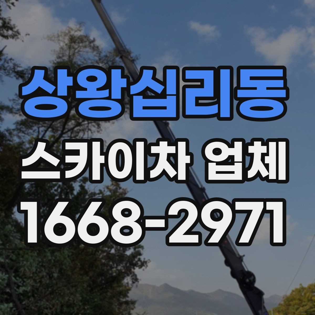 상왕십리동 스카이차 업체 이용이 적합한 상황 정리