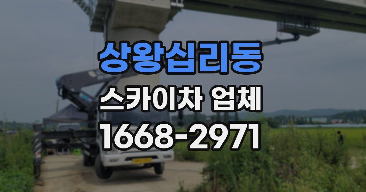 상왕십리동 스카이차 업체