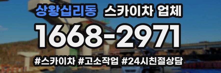 상왕십리동 스카이차 업체