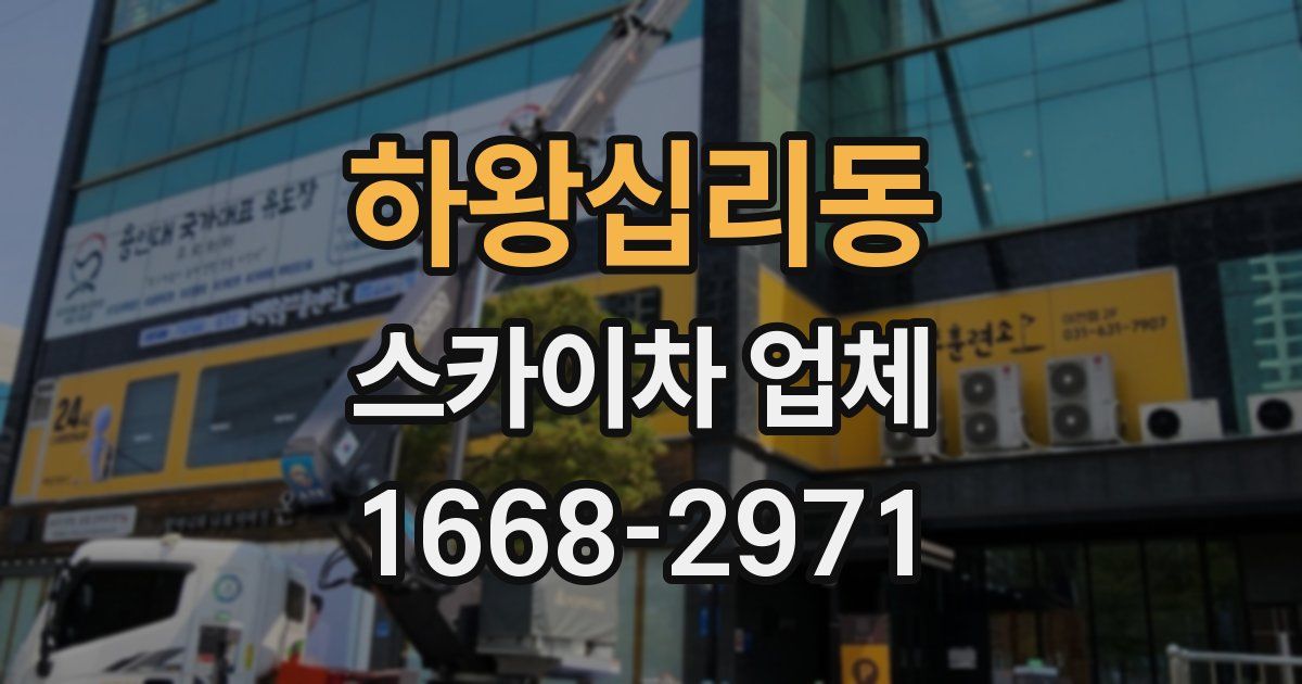 하왕십리동 스카이차 업체
