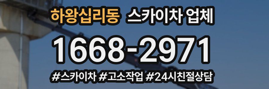 하왕십리동 스카이차 업체