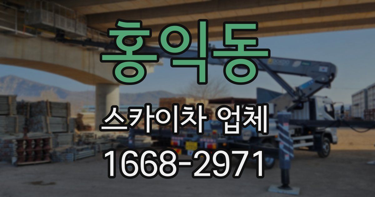 홍익동 스카이차 업체