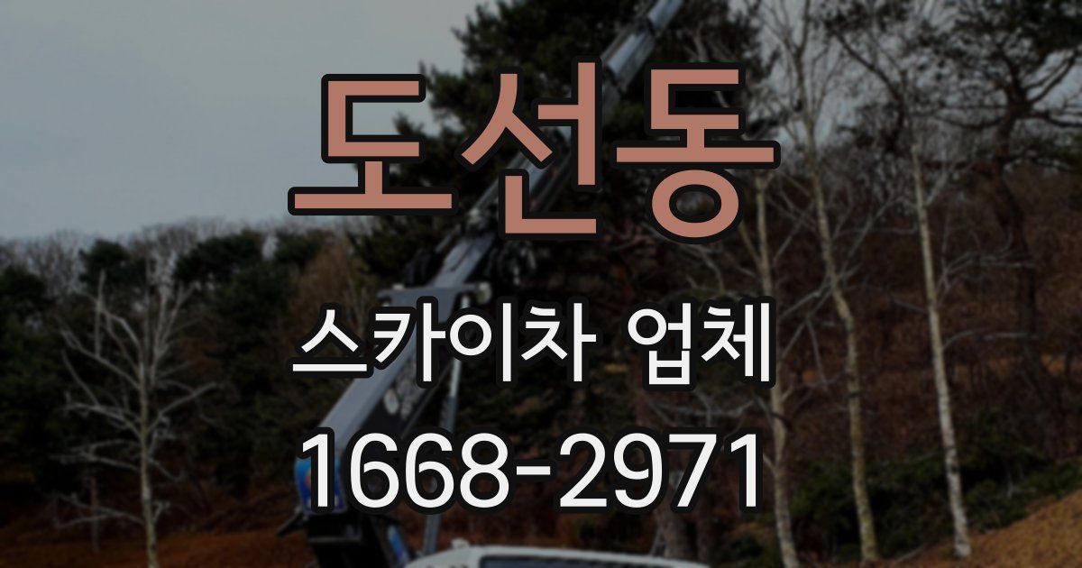도선동 스카이차 업체