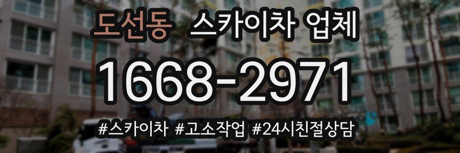 도선동 스카이차 업체