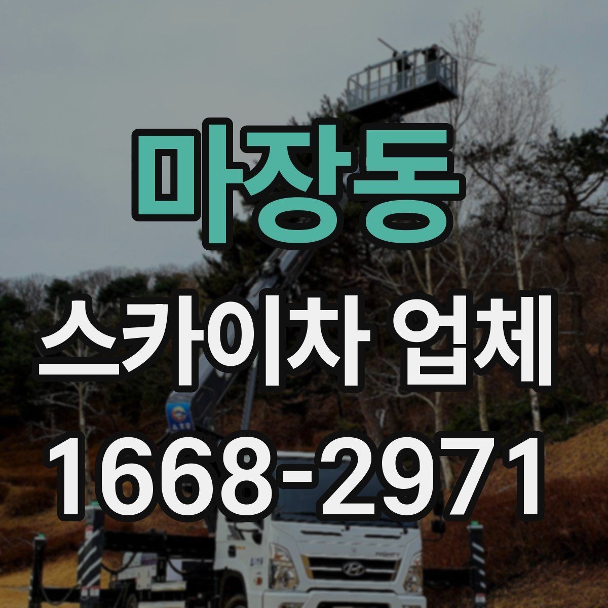 마장동 스카이차 업체 문의 후 일정 잡는 과정 알아보기