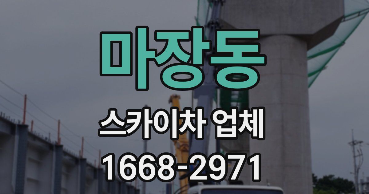 마장동 스카이차 업체