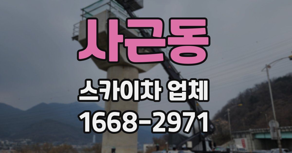 사근동 스카이차 업체