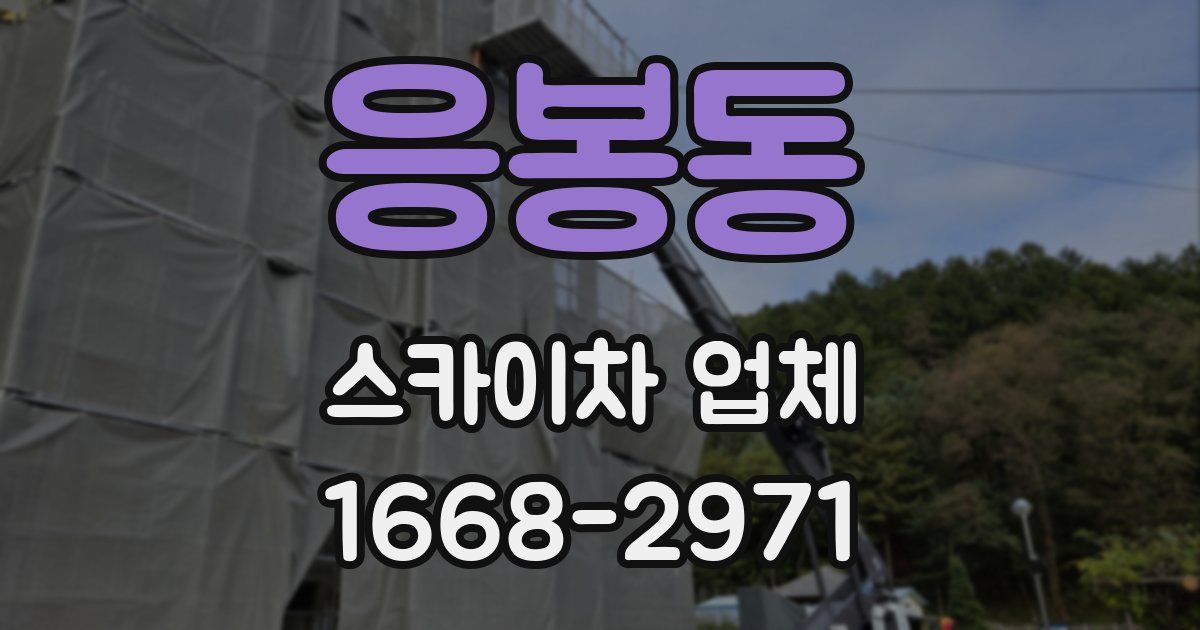 응봉동 스카이차 업체
