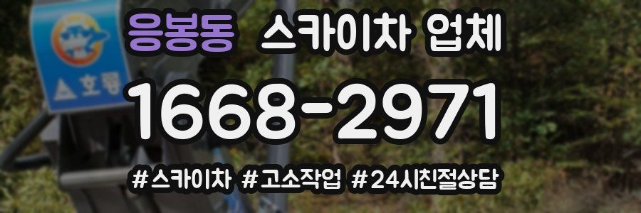 응봉동 스카이차 업체
