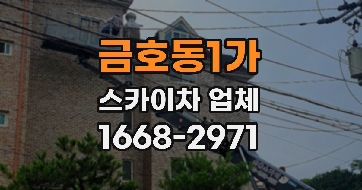 금호동1가 스카이차 업체