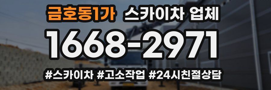금호동1가 스카이차 업체