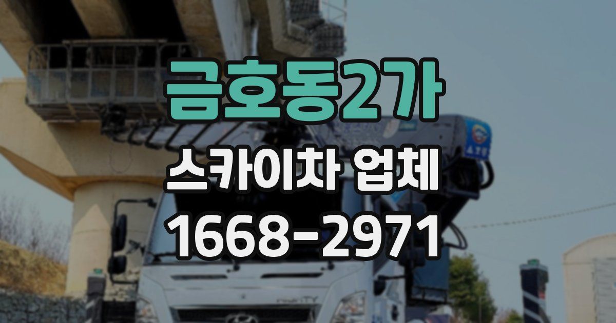 금호동2가 스카이차 업체
