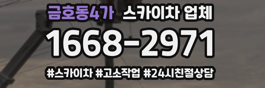 금호동4가 스카이차 업체