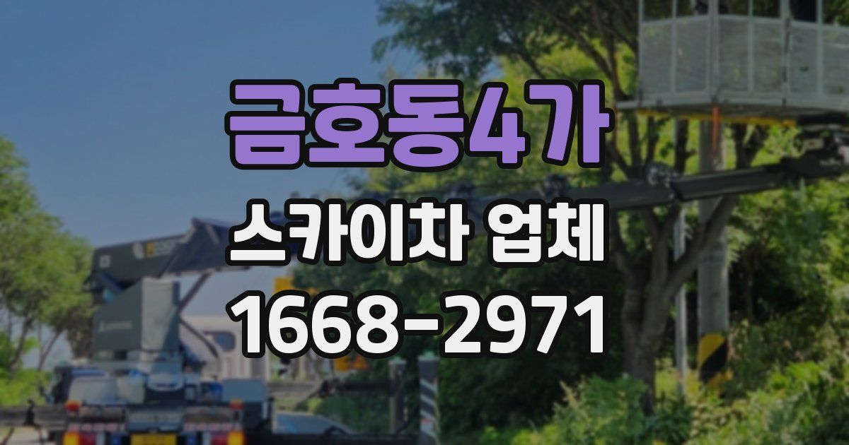 금호동4가 스카이차 업체