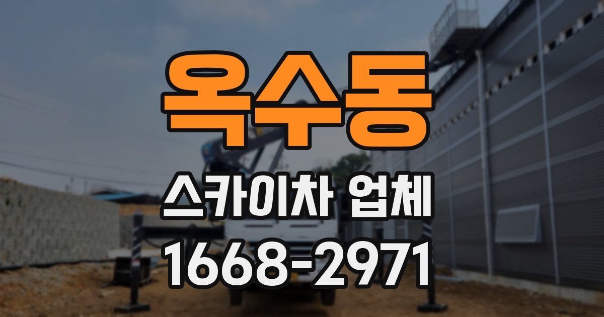 옥수동 스카이차 업체