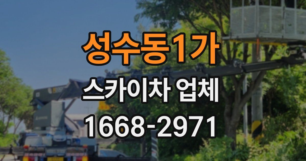 성수동1가 스카이차 업체