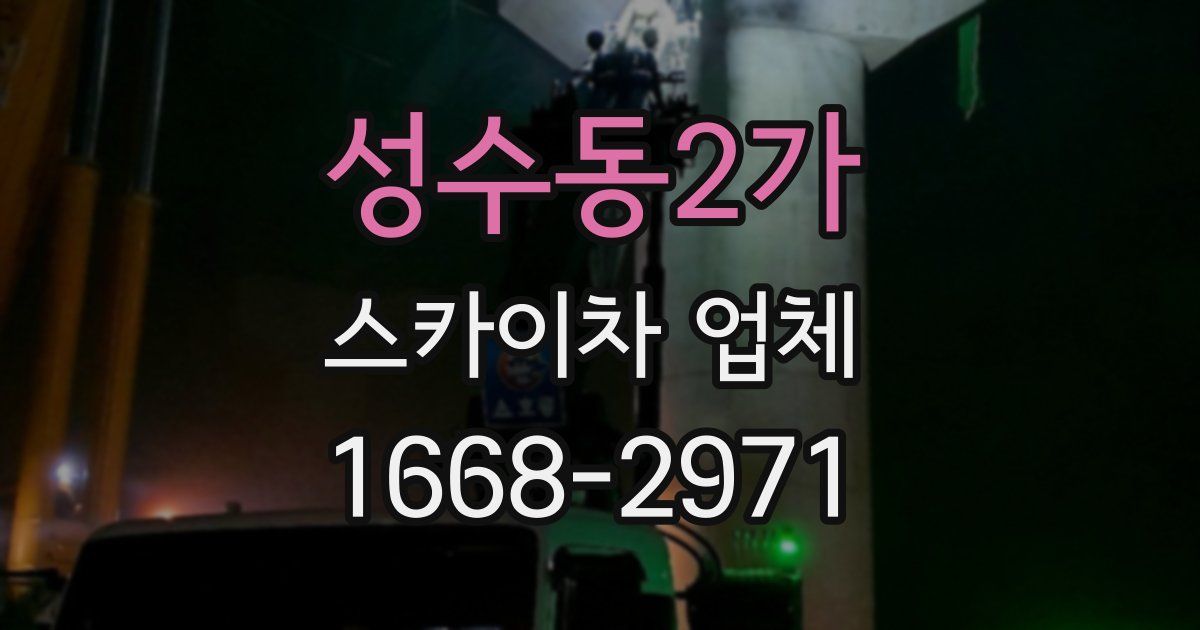 성수동2가 스카이차 업체