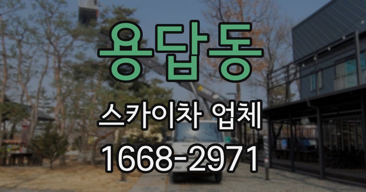 용답동 스카이차 업체