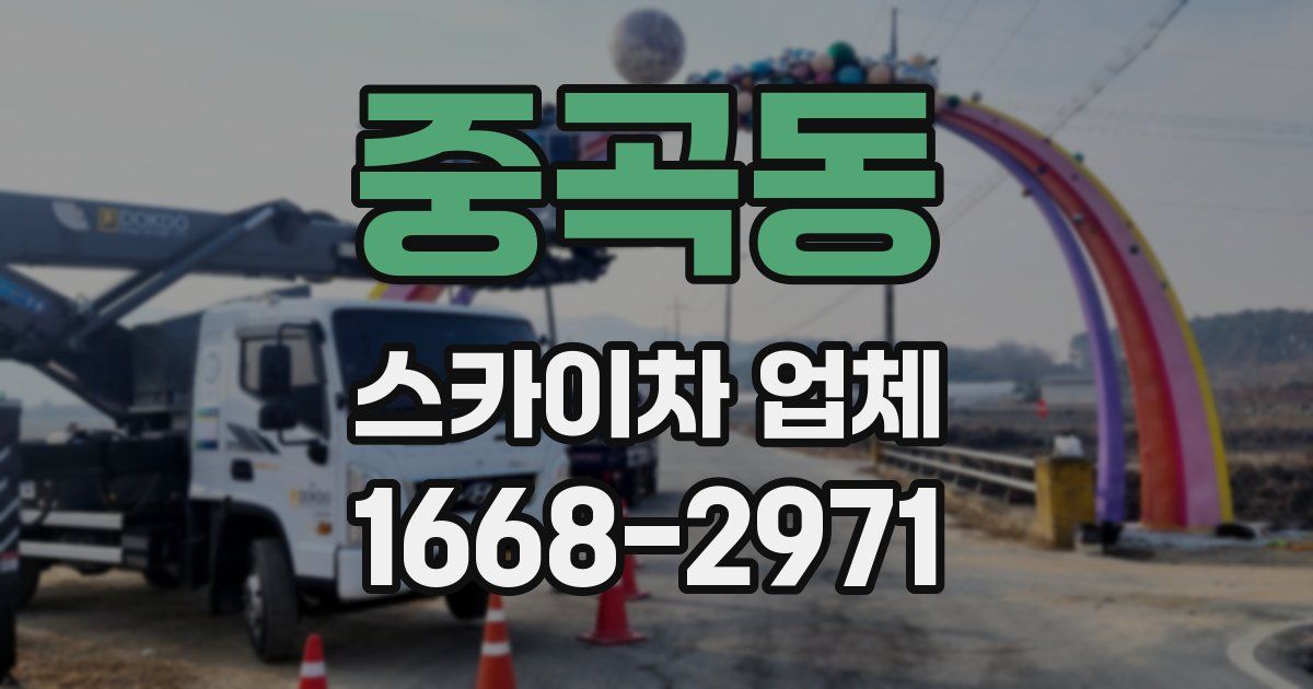 중곡동 스카이차 업체