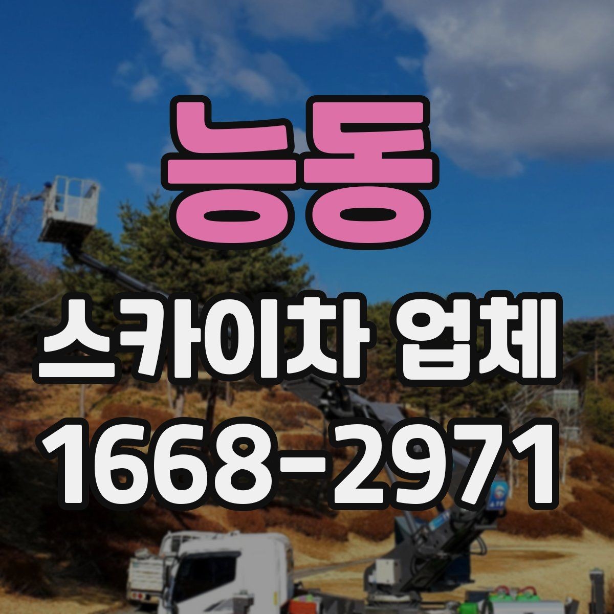 능동 스카이차 업체 이용 전 일정 변경 시 알아둘 점