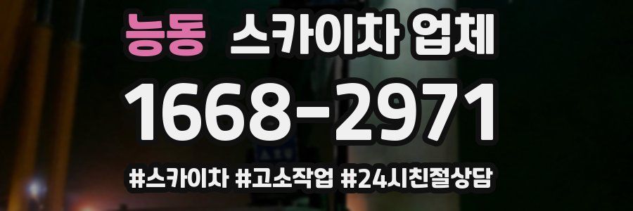 능동 스카이차 업체