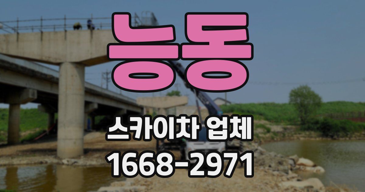 능동 스카이차 업체