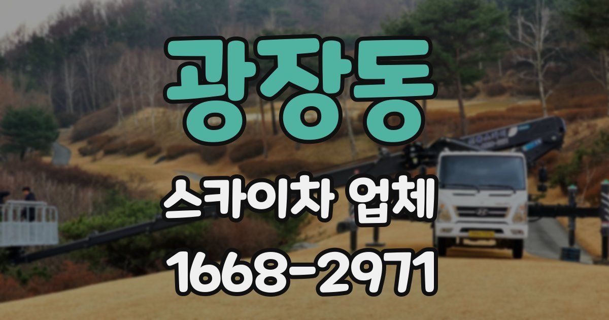 광장동 스카이차 업체
