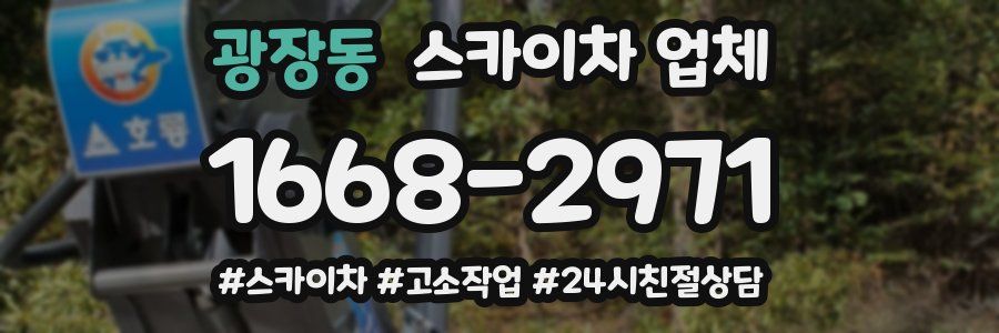 광장동 스카이차 업체