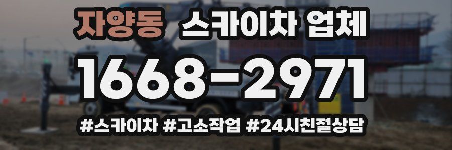 자양동 스카이차 업체