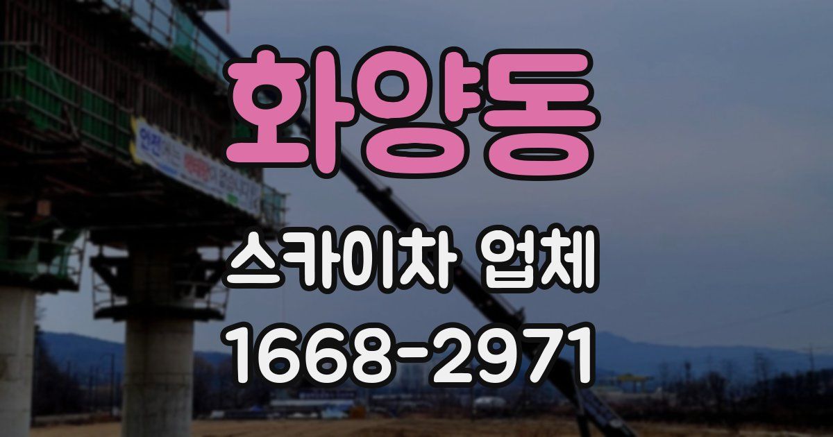 화양동 스카이차 업체