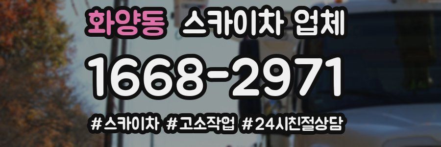 화양동 스카이차 업체