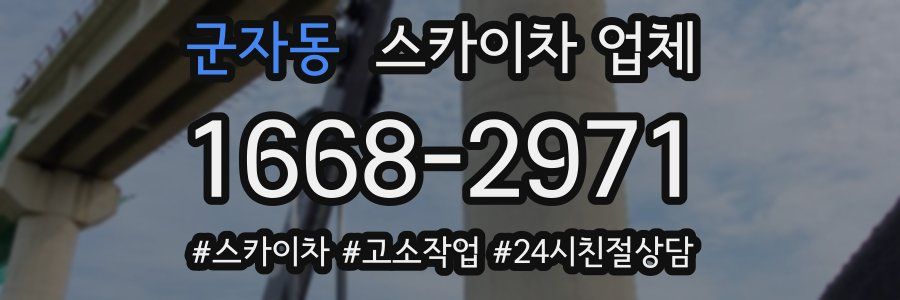 군자동 스카이차 업체