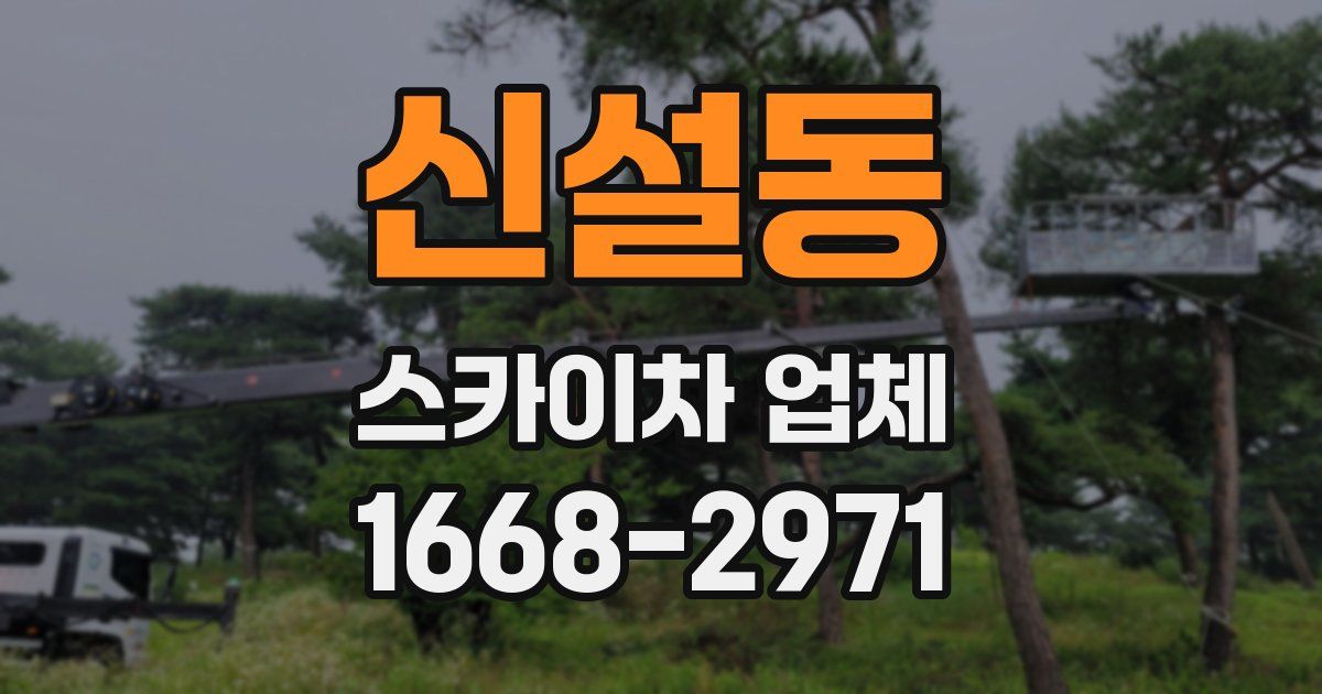 신설동 스카이차 업체